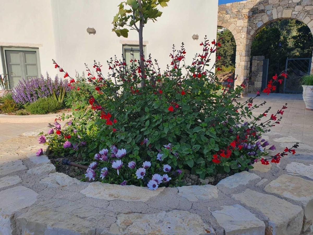 Anamnezia Luxury Suites (Adults Only) Agios Dimitrios  Buitenkant foto